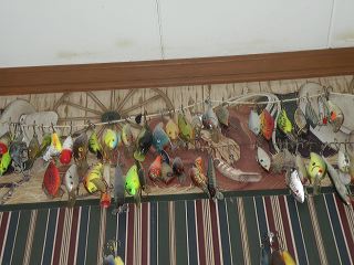 dscn9754