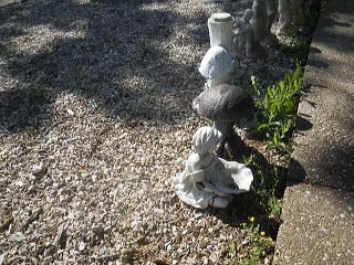 dscn9257