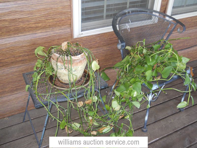 dscn9271.jpg
