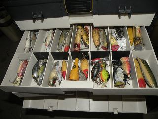 dscn9102