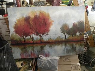 dscn9153