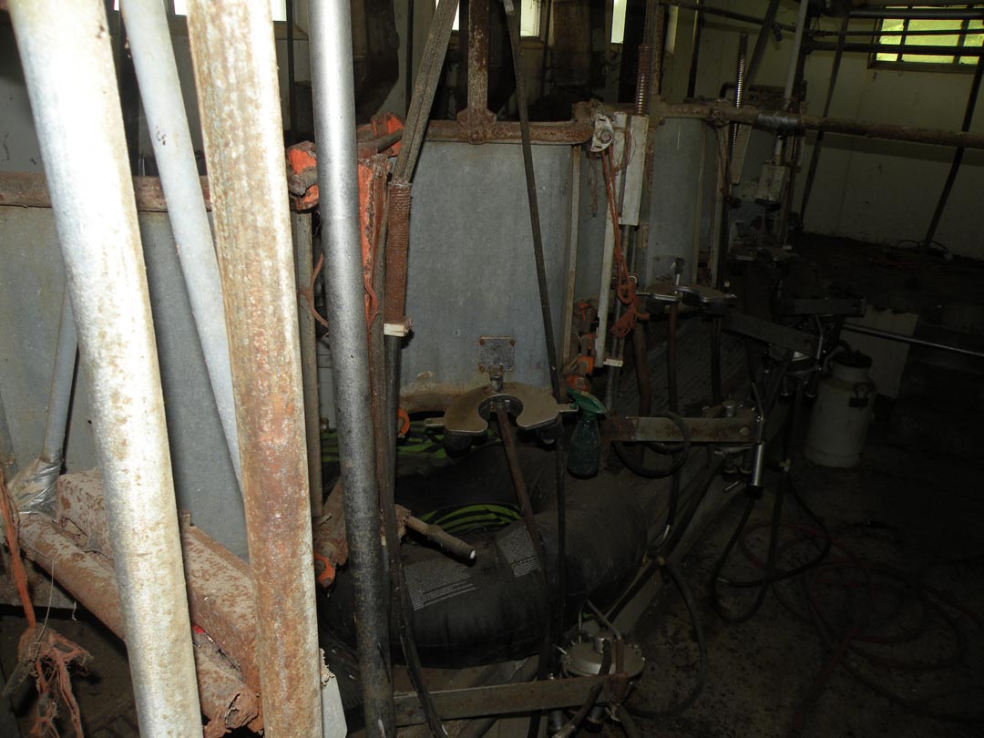 Auction Image 11