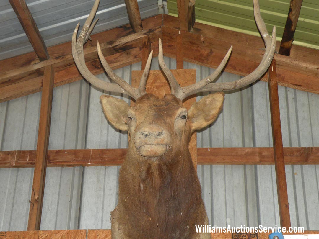October 17, 2026 auction photo 10