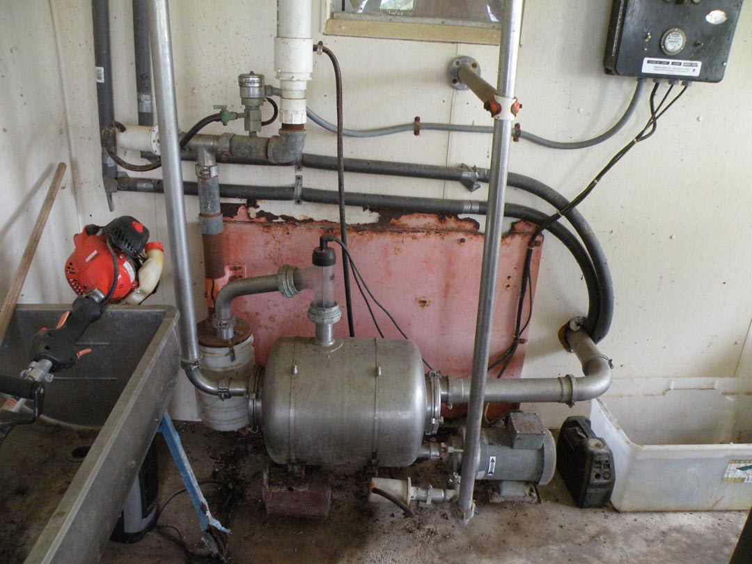 Auction Image 09