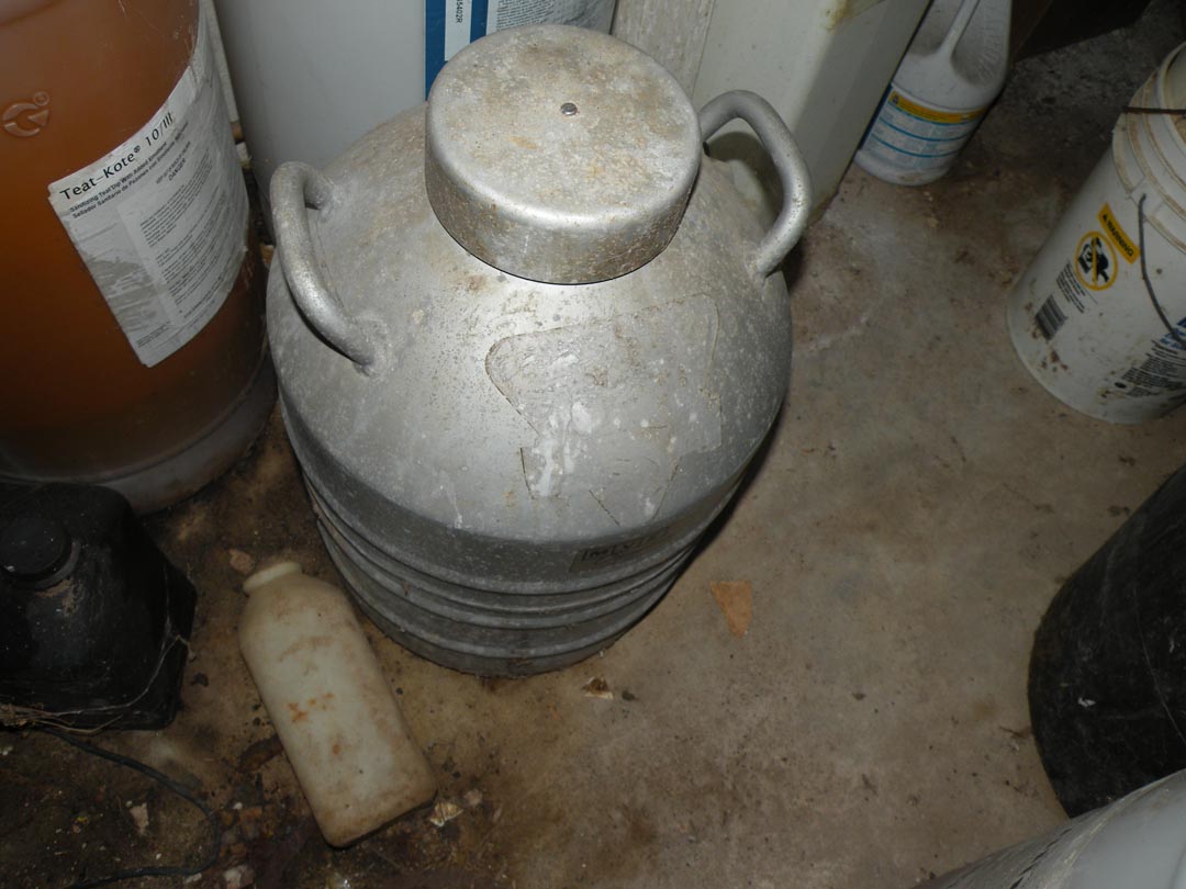Auction Image 10