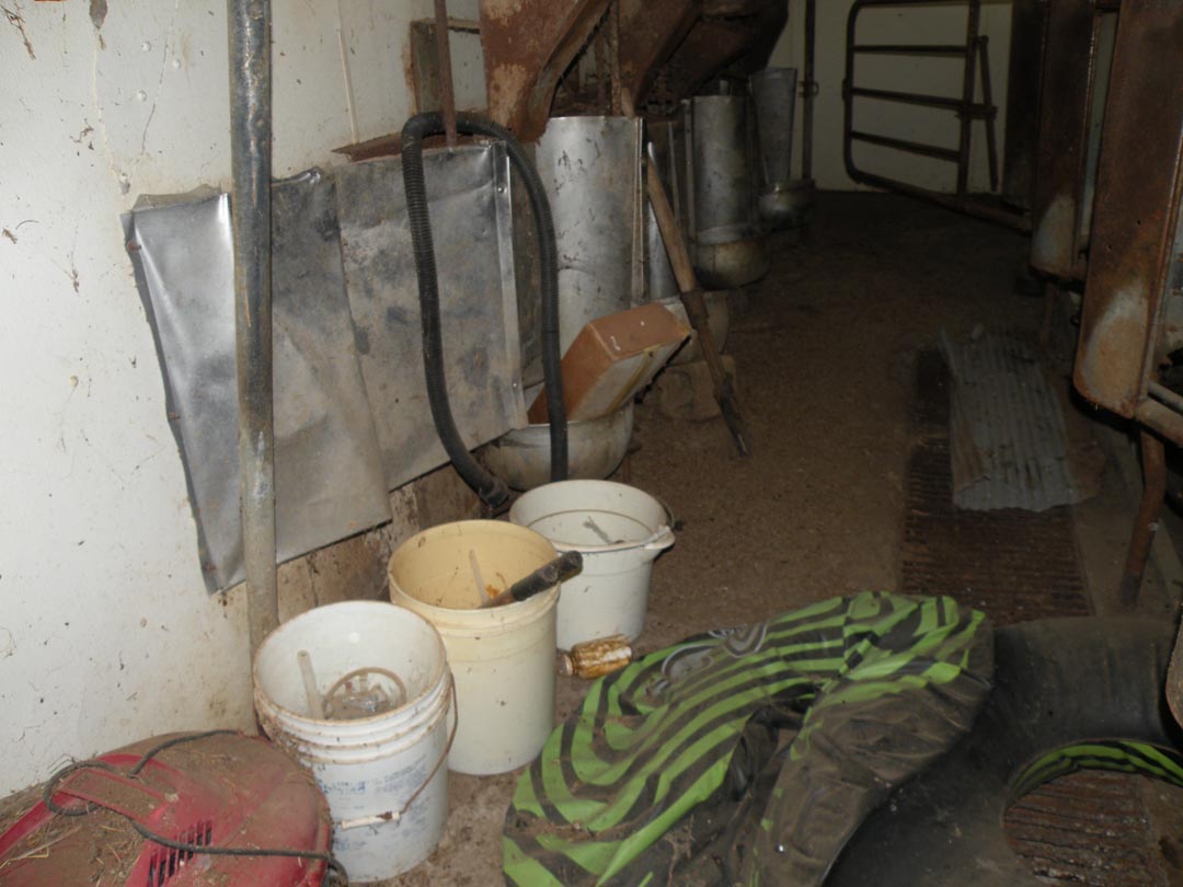 Auction Image 12