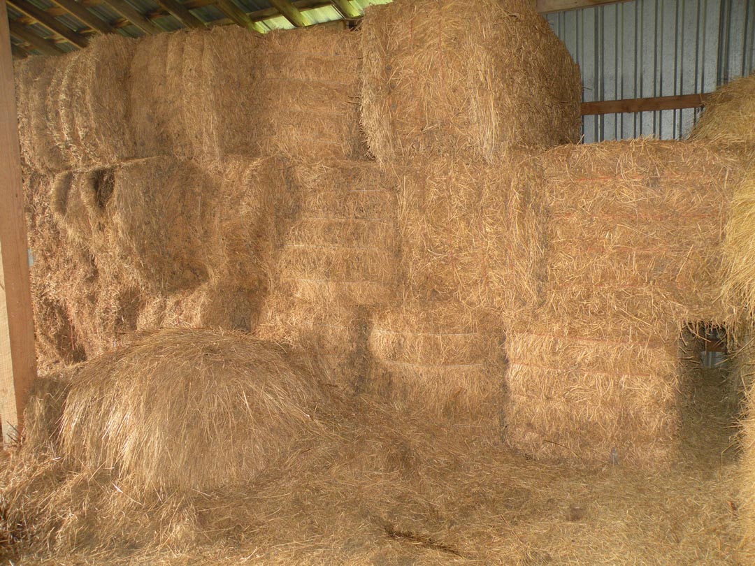 Auction Image 18